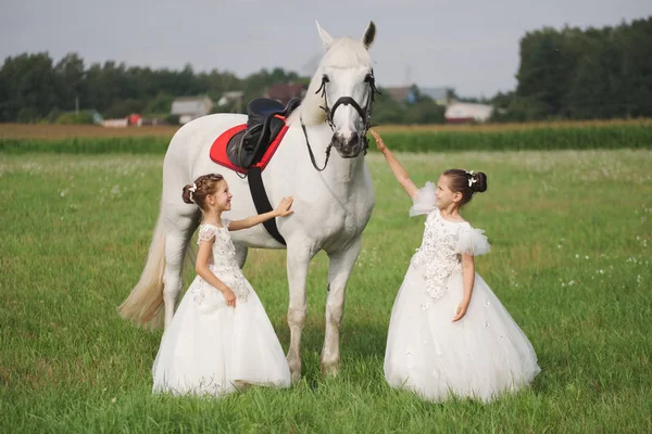 Little princess with white horse in summer field — Stock Photo, Image