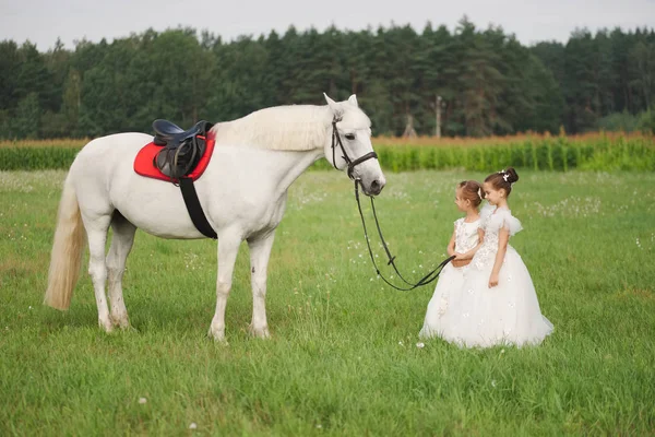 Маленькая принцесса с белой лошадью в летнем поле — стоковое фото