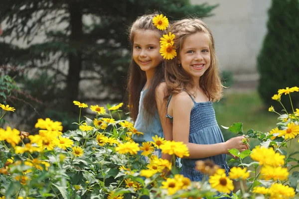 Retrato de chicas hermosas felices en macizo de flores — Foto de Stock