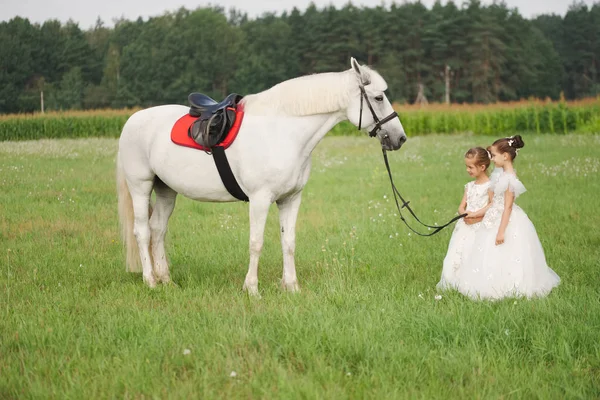 Pequena princesa com cavalo branco no campo de verão — Fotografia de Stock