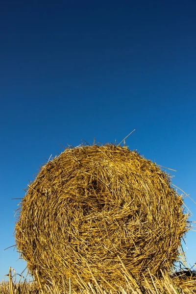 Hay Roll Niski Kąt Jasnego Nieba — Zdjęcie stockowe