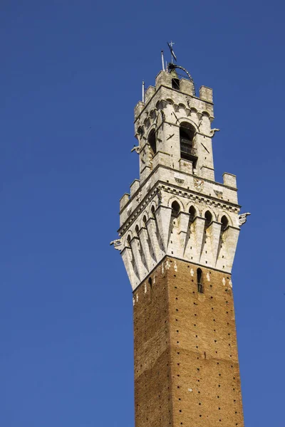 Nice View Main Square Tower Siena Toscana Italy — Stock Photo, Image