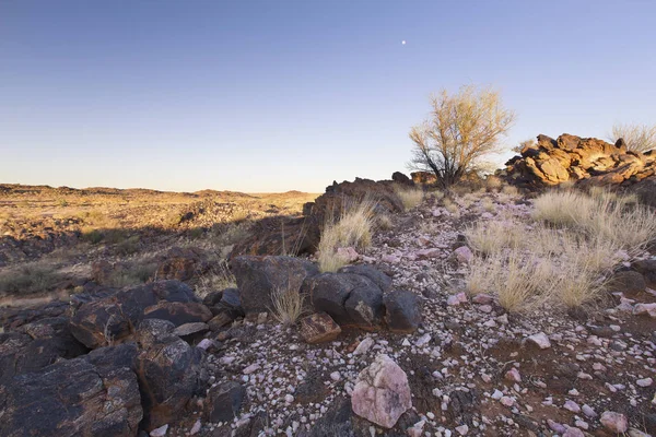 Paisaje Cuarzo Rosa Arbusto Hierba Desierto Seco — Foto de Stock