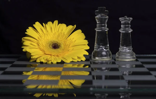 Yellow flower on a black and white glass chess board with king and queen