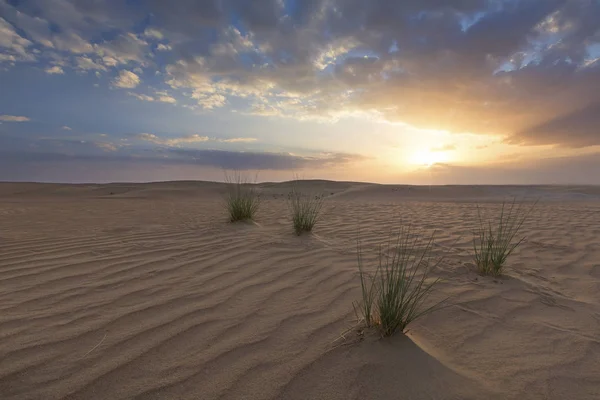 Landschaft Einer Sanddüne Und Gras Mit Wolken Bei Sonnenuntergang — Stockfoto