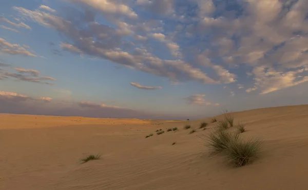 Landscape Sand Dune Grass Clouds Sunset — Stock Photo, Image