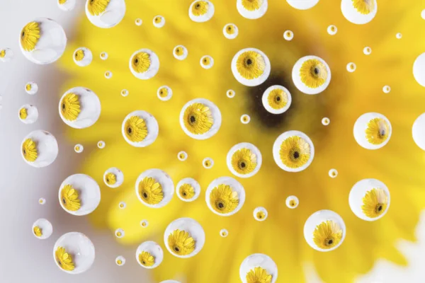 Reflections Yellow Flower Multiple Small Water Drops — Stock Photo, Image