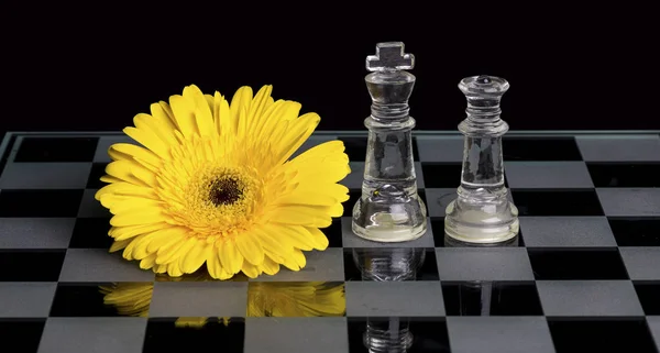 Yellow flower on a black and white glass chess board with king and queen