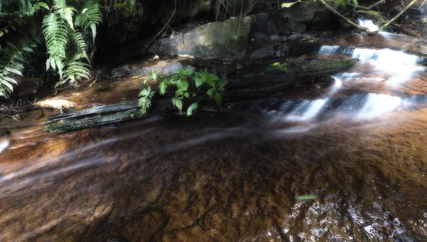 Landskap av litet vattenfall kaskad över en sten med en lång e — Stockfoto