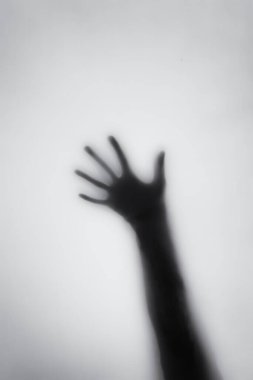 Tek renkli sanatsal dönüşümlü arka ışıklandırması olan, çarşafın arkasında korkmuş bir kadın kavramı