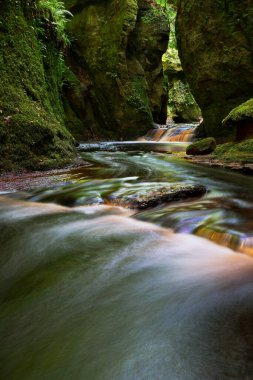 Finnich Glen manzara fotoğrafçılığından akan kırmızı suyu olan küçük bir nehir.