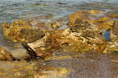 deniz dalgaları manzara ile buzlu 