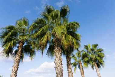 gökyüzü avuç içi yaz manzara