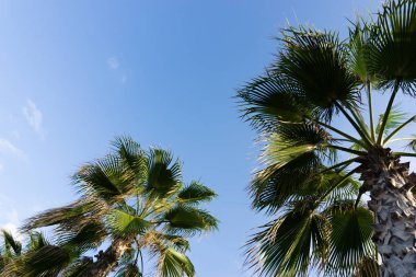 gökyüzü avuç içi yaz manzara