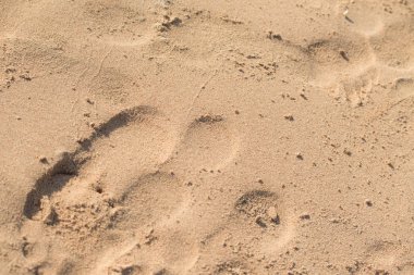 kum, deniz plaj ayak izleri