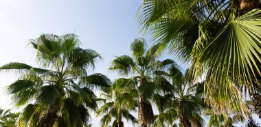 gökyüzü avuç içi yaz manzara