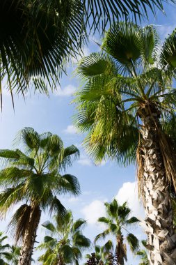 gökyüzü avuç içi yaz manzara