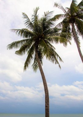 Plaj gökyüzü manzara avucunda