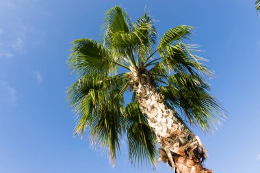 gökyüzü avuç içi yaz manzara