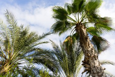 gökyüzü avuç içi yaz manzara