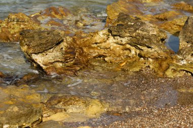 deniz dalgaları manzara ile buzlu 