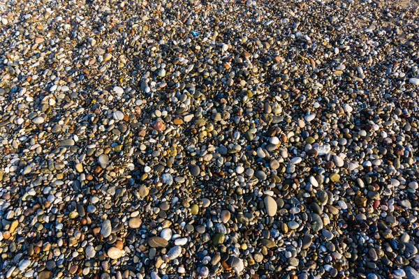 Wet Pebbles Background — Stock Photo, Image