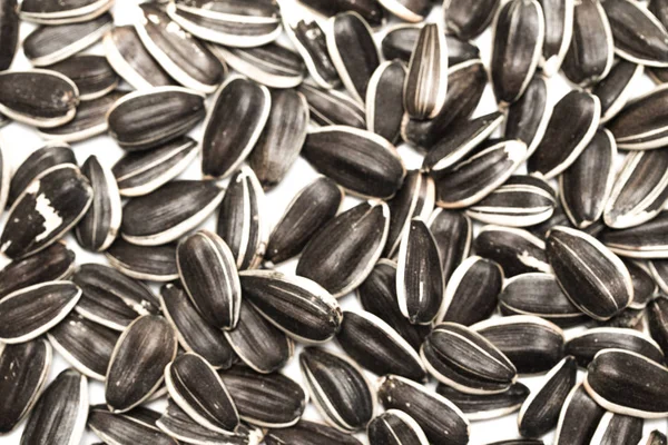 Raw Sunflower Seeds Background — Stock Photo, Image