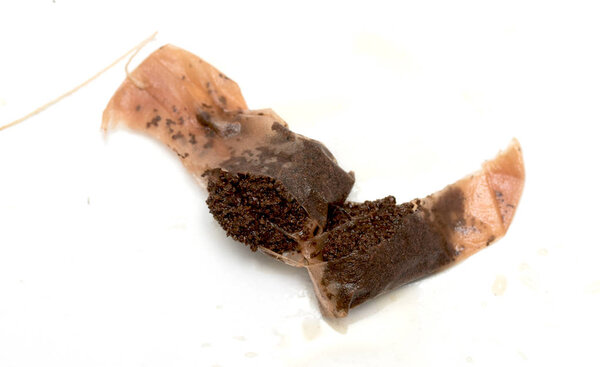 tea bag on white background