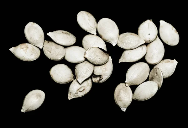 Семена Тыквы Черном Фоне — стоковое фото