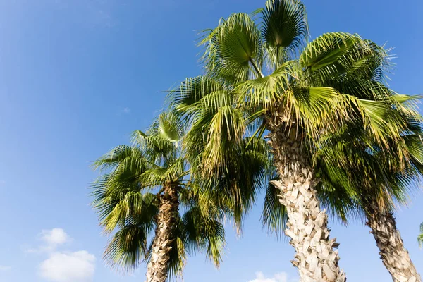 gökyüzü avuç içi yaz manzara