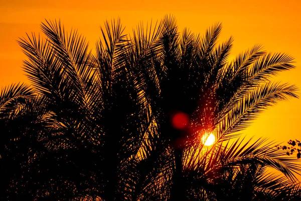 Сонце Над Морем Захід Сонця Пейзаж — стокове фото