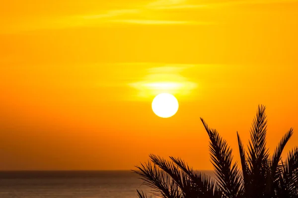 Sun Sea Sunset Landscape — Stock Photo, Image