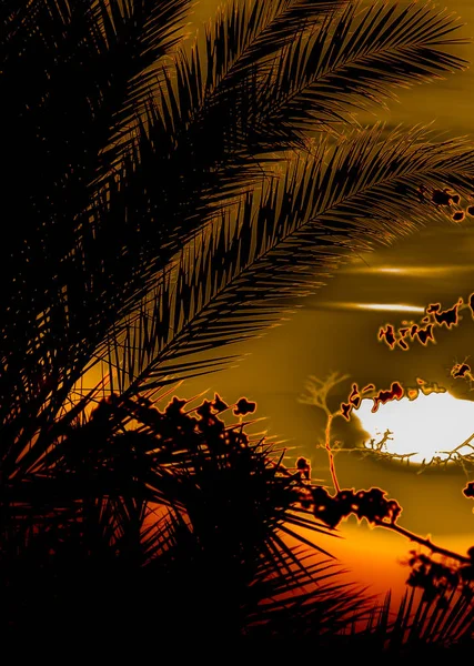 Sonne Über Dem Meer Sonnenuntergang Landschaft — Stockfoto