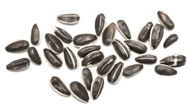 ayçiçeği tohumu çiğ beyaz arka plan üzerinde izole 