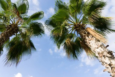 gökyüzü avuç içi yaz manzara