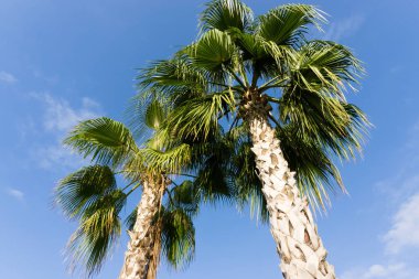 gökyüzü avuç içi yaz manzara