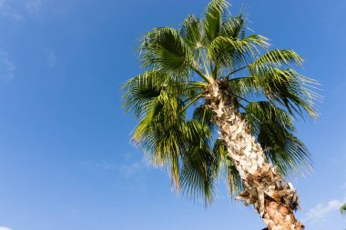 gökyüzü avuç içi yaz manzara