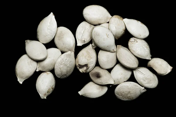 Semillas Calabaza Sobre Fondo Negro — Foto de Stock