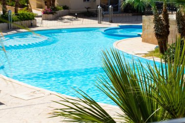 Palma havuzu yaz manzara