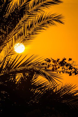 Güneş deniz, gün batımı, peyzaj üzerinde