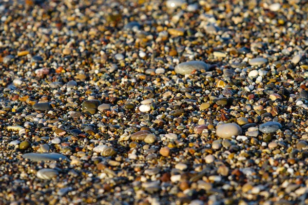 Wet Pebbles Background — Stock Photo, Image