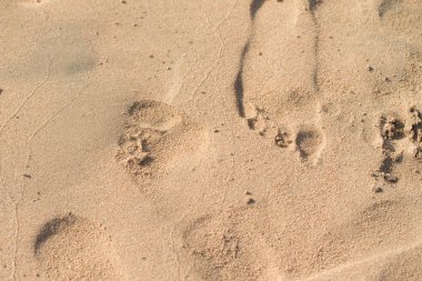 kum, deniz plaj ayak izleri