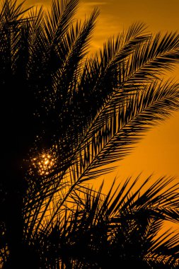 Güneş deniz, gün batımı, peyzaj üzerinde