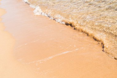 kumsal deniz, peyzaj