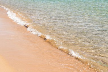 kumsal deniz, peyzaj