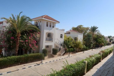 Beyaz Saray villa palmiye ağaçları manzara