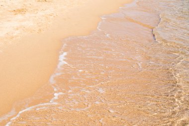 kumsal deniz, peyzaj