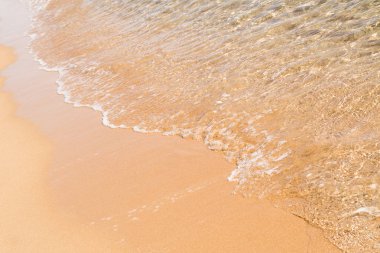 kumsal deniz, peyzaj