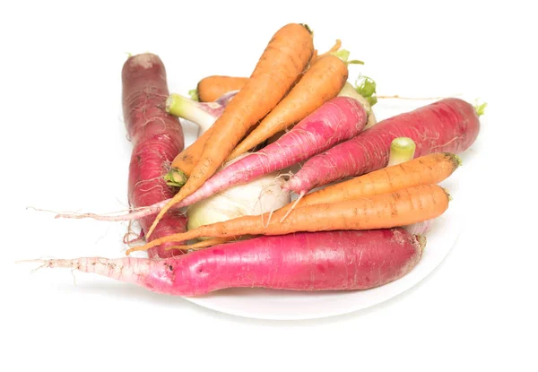 Carrot Radish White Background — Stock Photo, Image