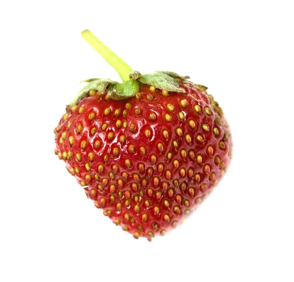 Ripe Strawberries Isolated White Background — Stock Photo, Image